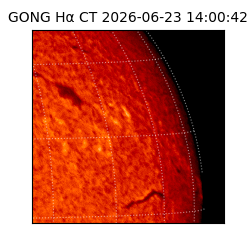 gong - 2026-06-23T14:00:42