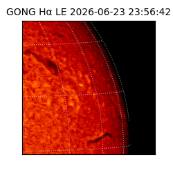 gong - 2026-06-23T23:56:42