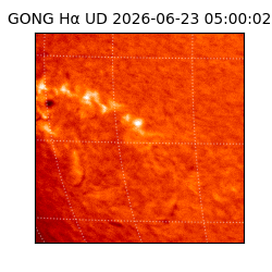 gong - 2026-06-23T05:00:02
