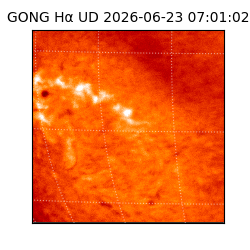 gong - 2026-06-23T07:01:02