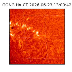 gong - 2026-06-23T13:00:42