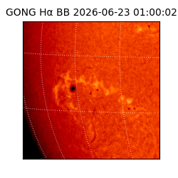 gong - 2026-06-23T01:00:02