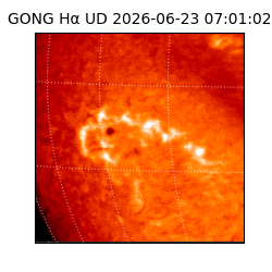 gong - 2026-06-23T07:01:02