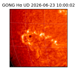 gong - 2026-06-23T10:00:02