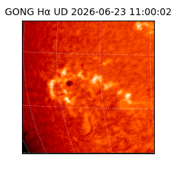 gong - 2026-06-23T11:00:02