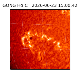 gong - 2026-06-23T15:00:42