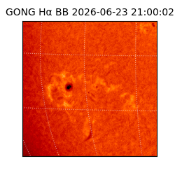 gong - 2026-06-23T21:00:02