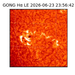 gong - 2026-06-23T23:56:42