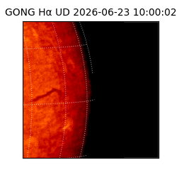 gong - 2026-06-23T10:00:02