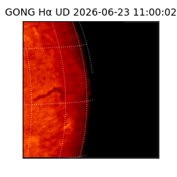 gong - 2026-06-23T11:00:02
