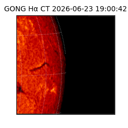 gong - 2026-06-23T19:00:42