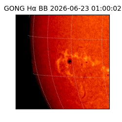 gong - 2026-06-23T01:00:02