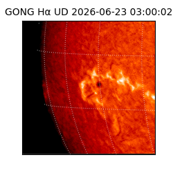 gong - 2026-06-23T03:00:02