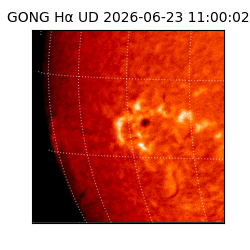 gong - 2026-06-23T11:00:02