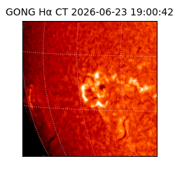 gong - 2026-06-23T19:00:42
