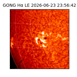 gong - 2026-06-23T23:56:42