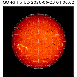 gong - 2026-06-23T04:00:02
