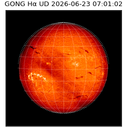 gong - 2026-06-23T07:01:02