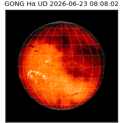 gong - 2026-06-23T08:08:02