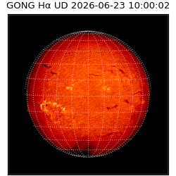 gong - 2026-06-23T10:00:02