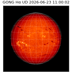 gong - 2026-06-23T11:00:02
