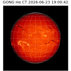gong - 2026-06-23T19:00:42