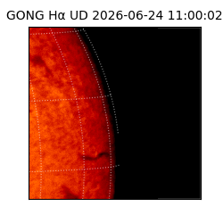 gong - 2026-06-24T11:00:02