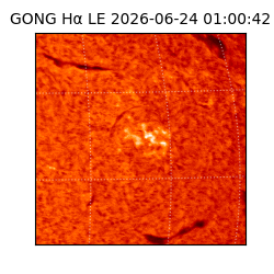 gong - 2026-06-24T01:00:42