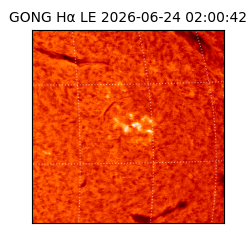 gong - 2026-06-24T02:00:42