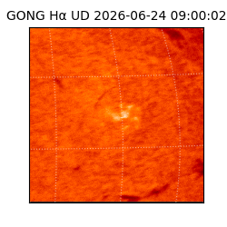 gong - 2026-06-24T09:00:02