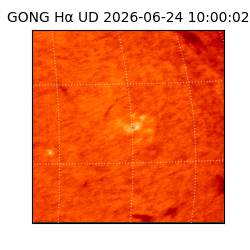 gong - 2026-06-24T10:00:02