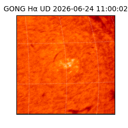 gong - 2026-06-24T11:00:02
