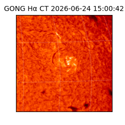 gong - 2026-06-24T15:00:42