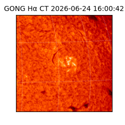 gong - 2026-06-24T16:00:42