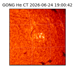 gong - 2026-06-24T19:00:42