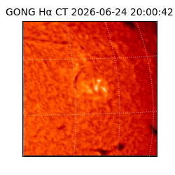 gong - 2026-06-24T20:00:42