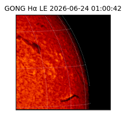 gong - 2026-06-24T01:00:42