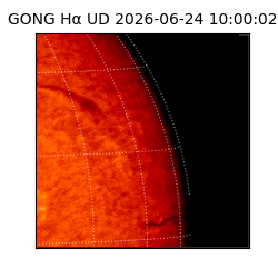 gong - 2026-06-24T10:00:02