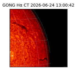 gong - 2026-06-24T13:00:42