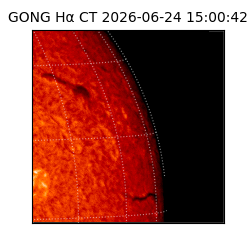 gong - 2026-06-24T15:00:42