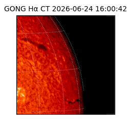 gong - 2026-06-24T16:00:42