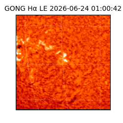 gong - 2026-06-24T01:00:42