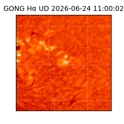 gong - 2026-06-24T11:00:02