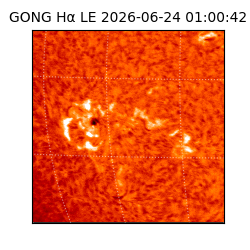 gong - 2026-06-24T01:00:42