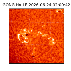gong - 2026-06-24T02:00:42