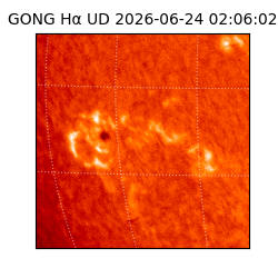 gong - 2026-06-24T02:06:02