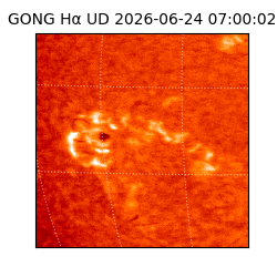 gong - 2026-06-24T07:00:02