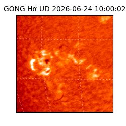gong - 2026-06-24T10:00:02