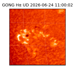 gong - 2026-06-24T11:00:02