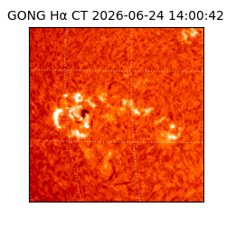 gong - 2026-06-24T14:00:42